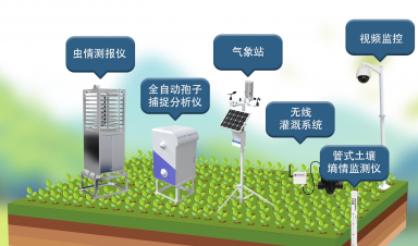 智慧農(nóng)業(yè)創(chuàng)新方案，賦能農(nóng)業(yè)現(xiàn)代化轉(zhuǎn)型新征程